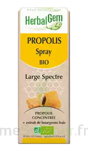 Herbalgem Propolis Large Spectre Solution Buvable Bio Spray/15ml à Pradines